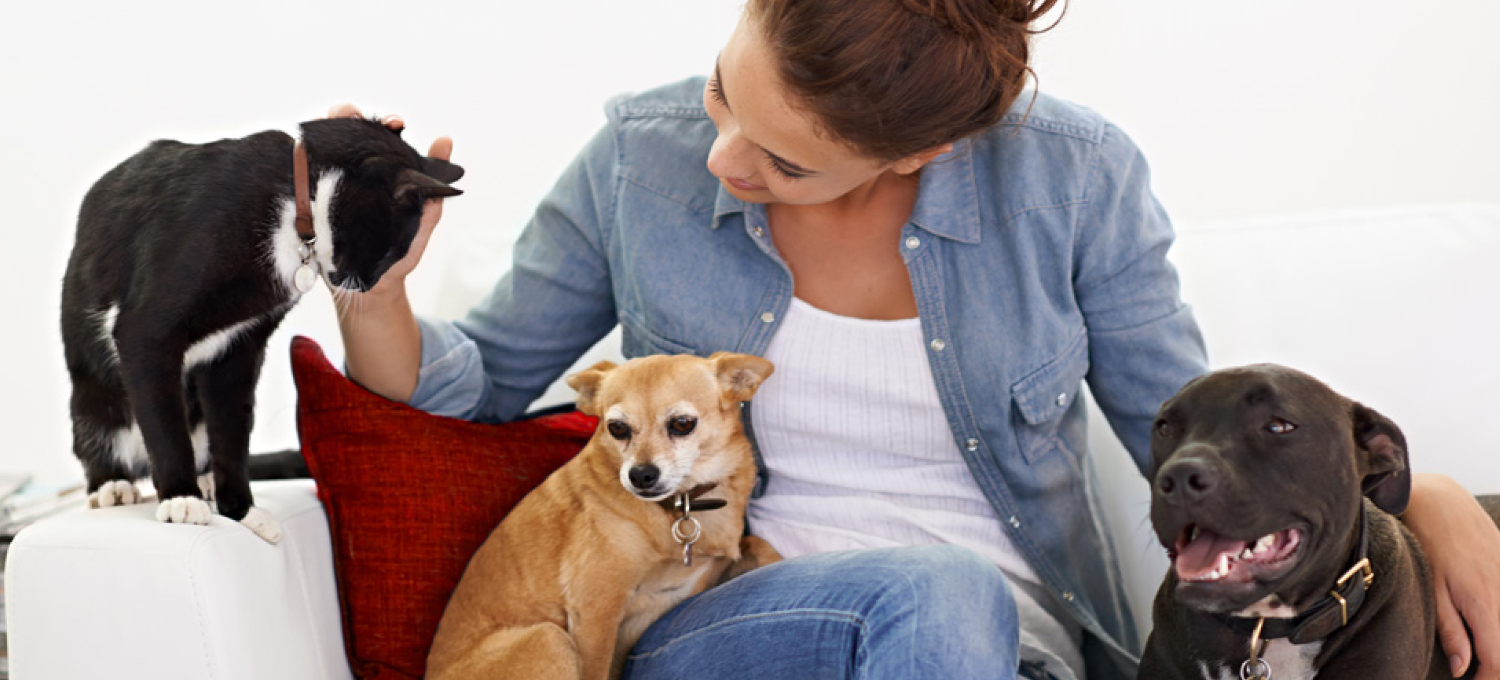 brands-header-mobile